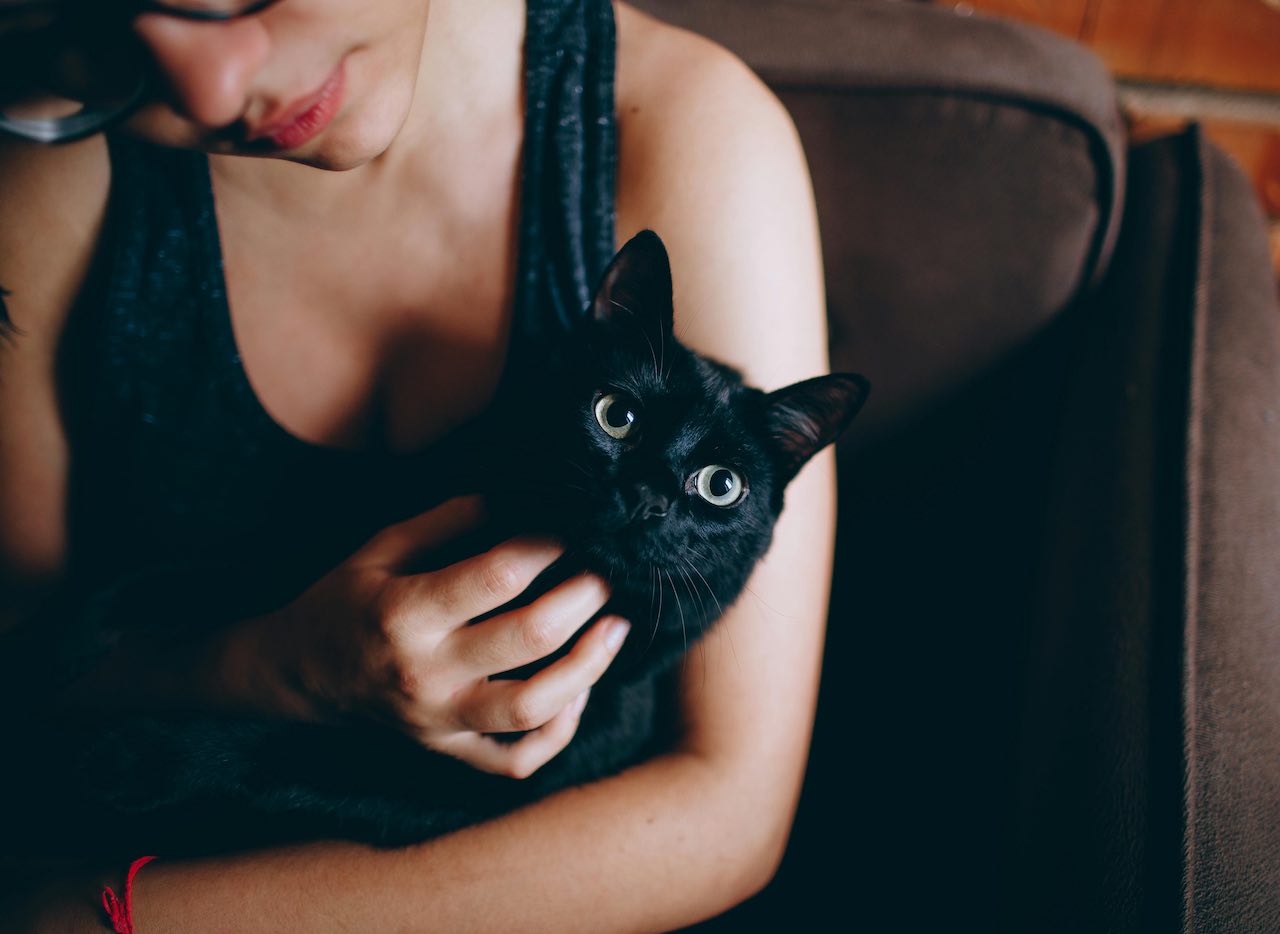 Understanding Cat Biting Behavior: Causes and Solutions