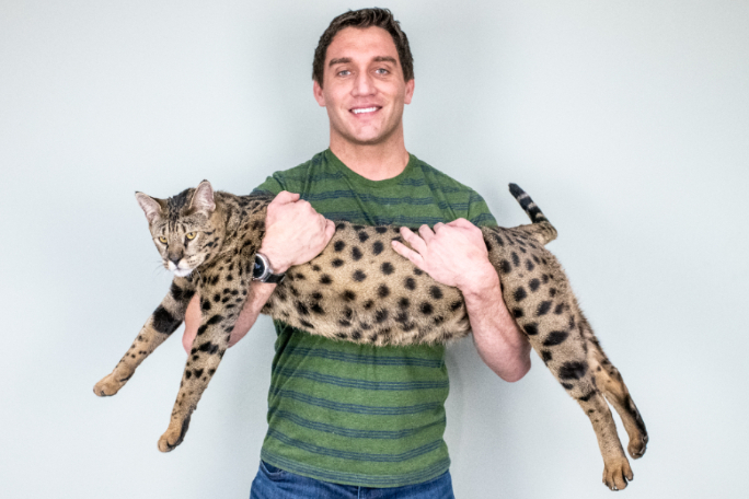 Tallest cat in the world